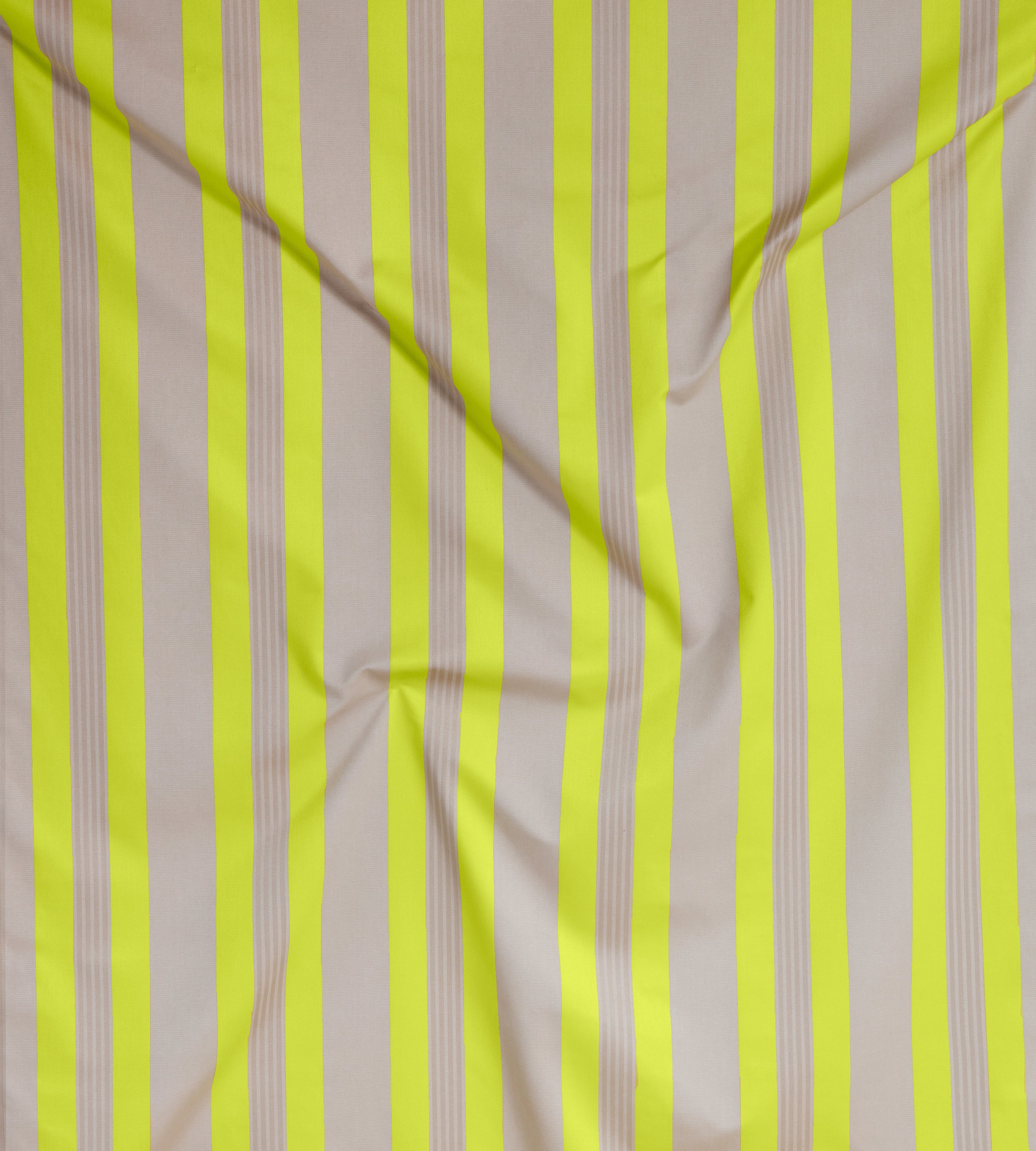 Stripe Yellow and Champagne