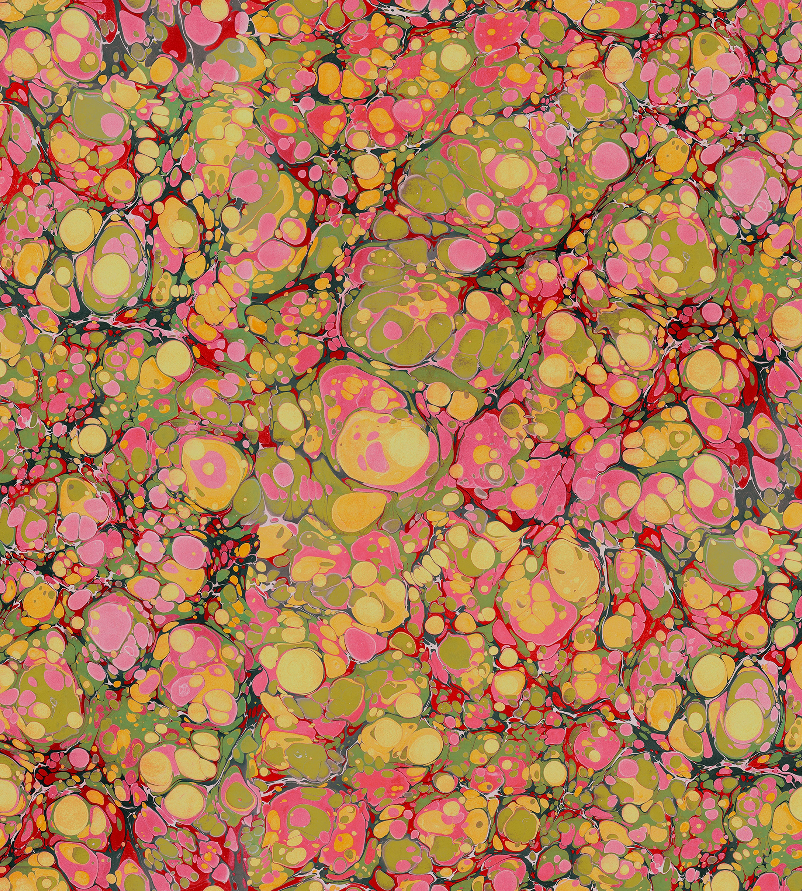 Turtles Have Short Legs Wallpaper