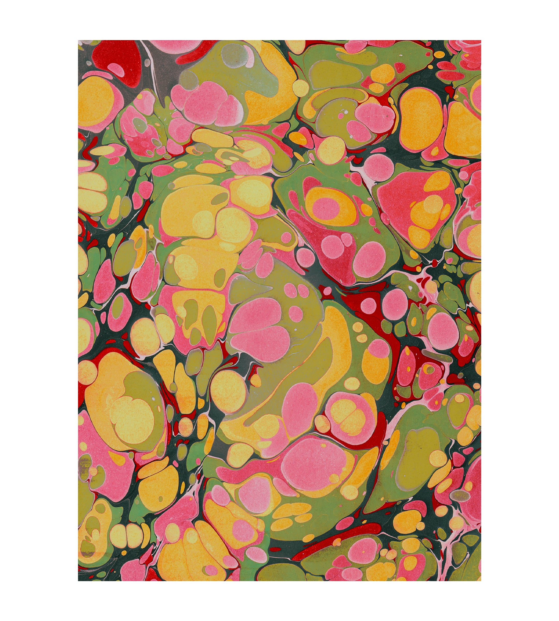 Turtles Have Short Legs Wallpaper