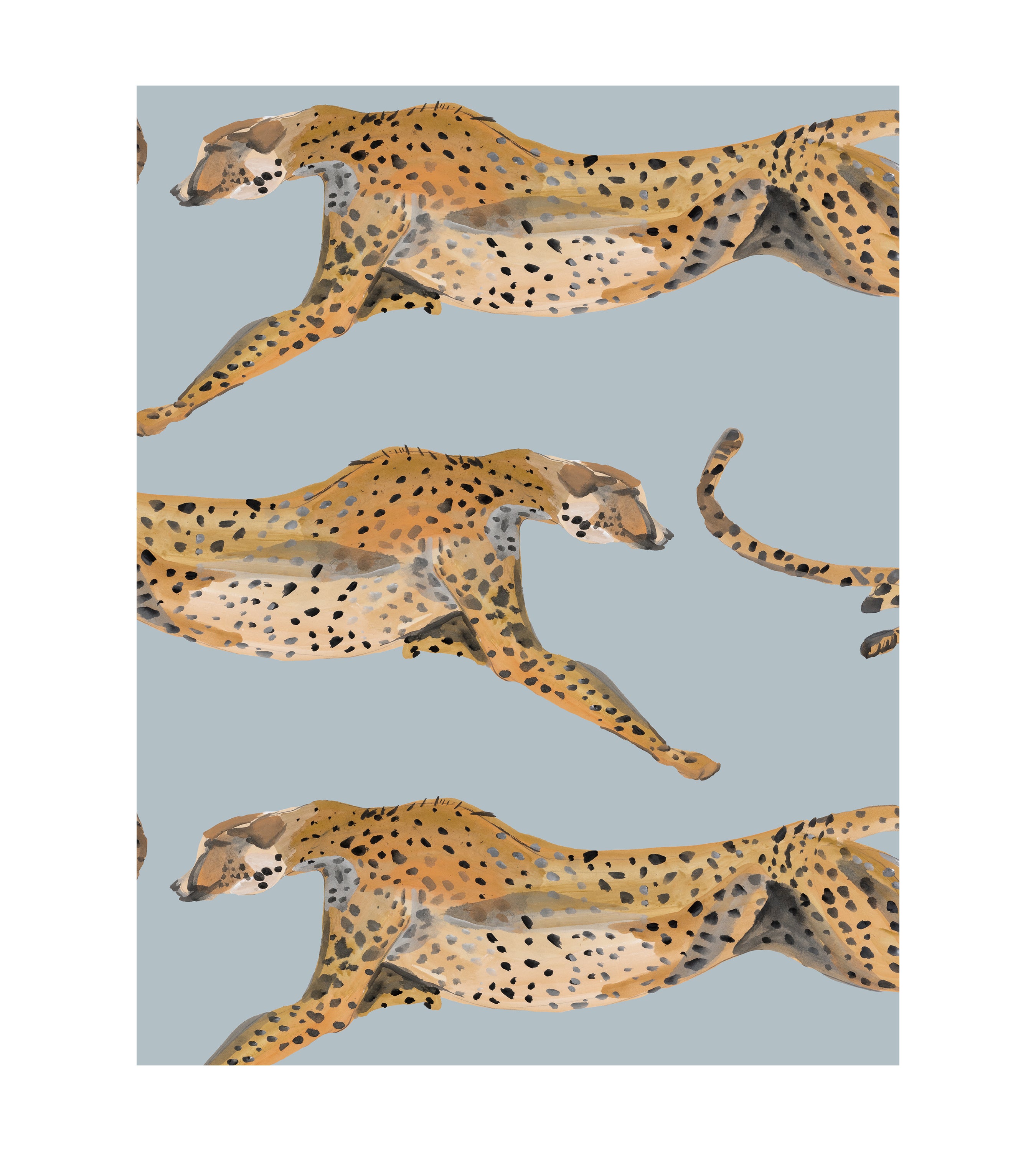 Cheetahs Leaping Parma Gray Wallpaper