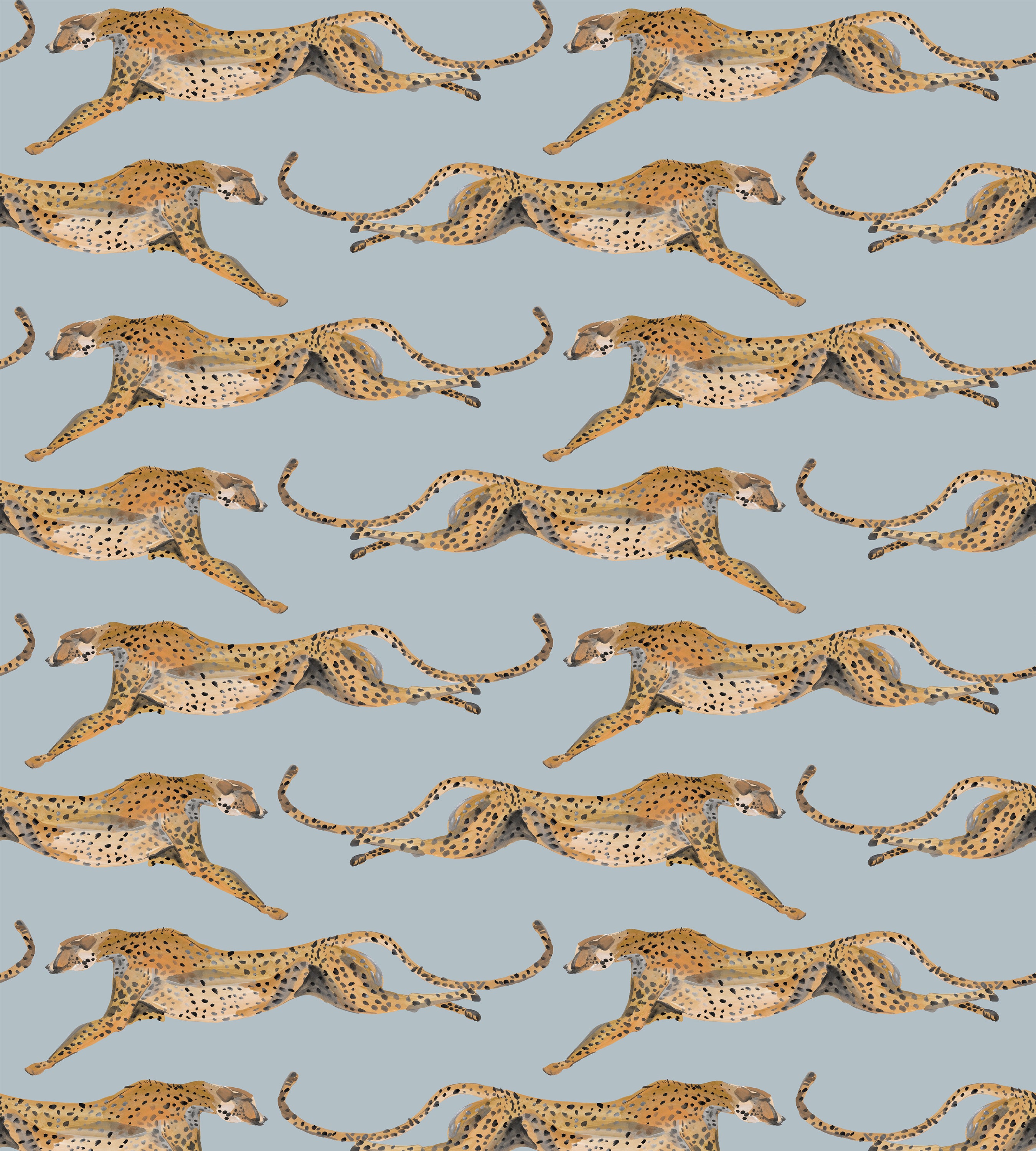 Cheetahs Leaping Parma Gray Wallpaper