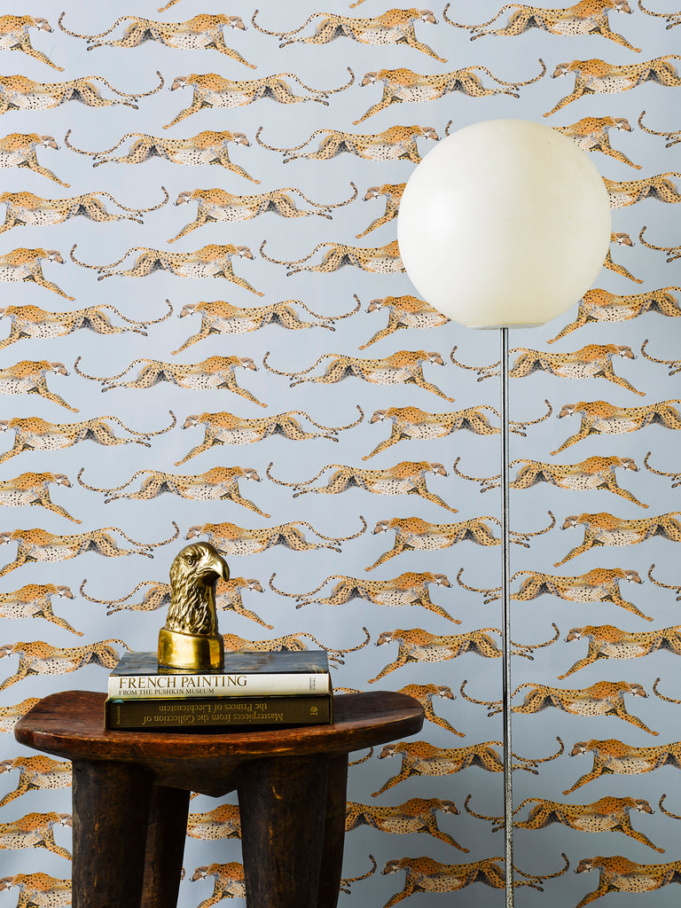 Cheetahs Leaping Parma Gray Wallpaper