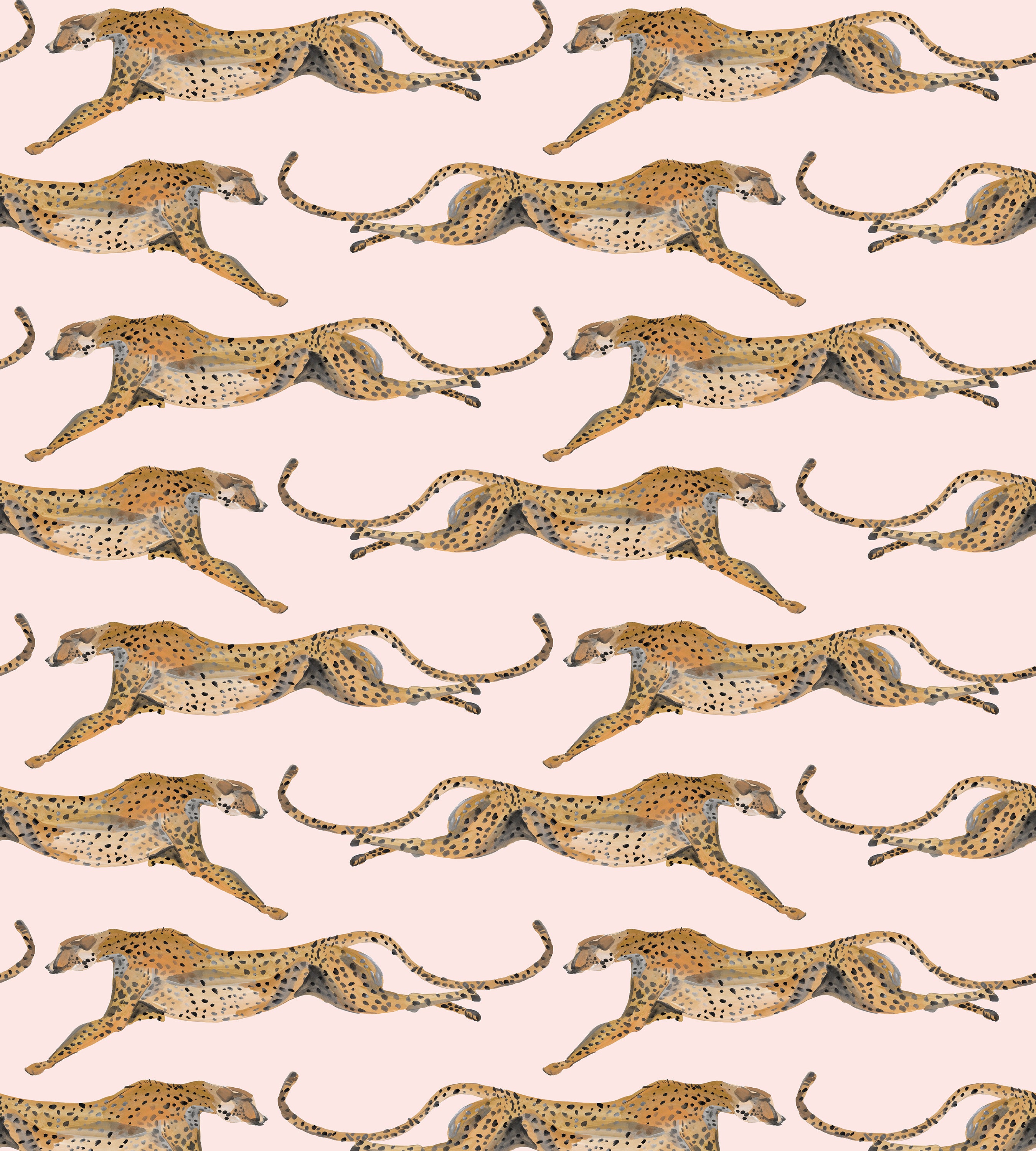 Cheetahs Leaping Pink Wallpaper