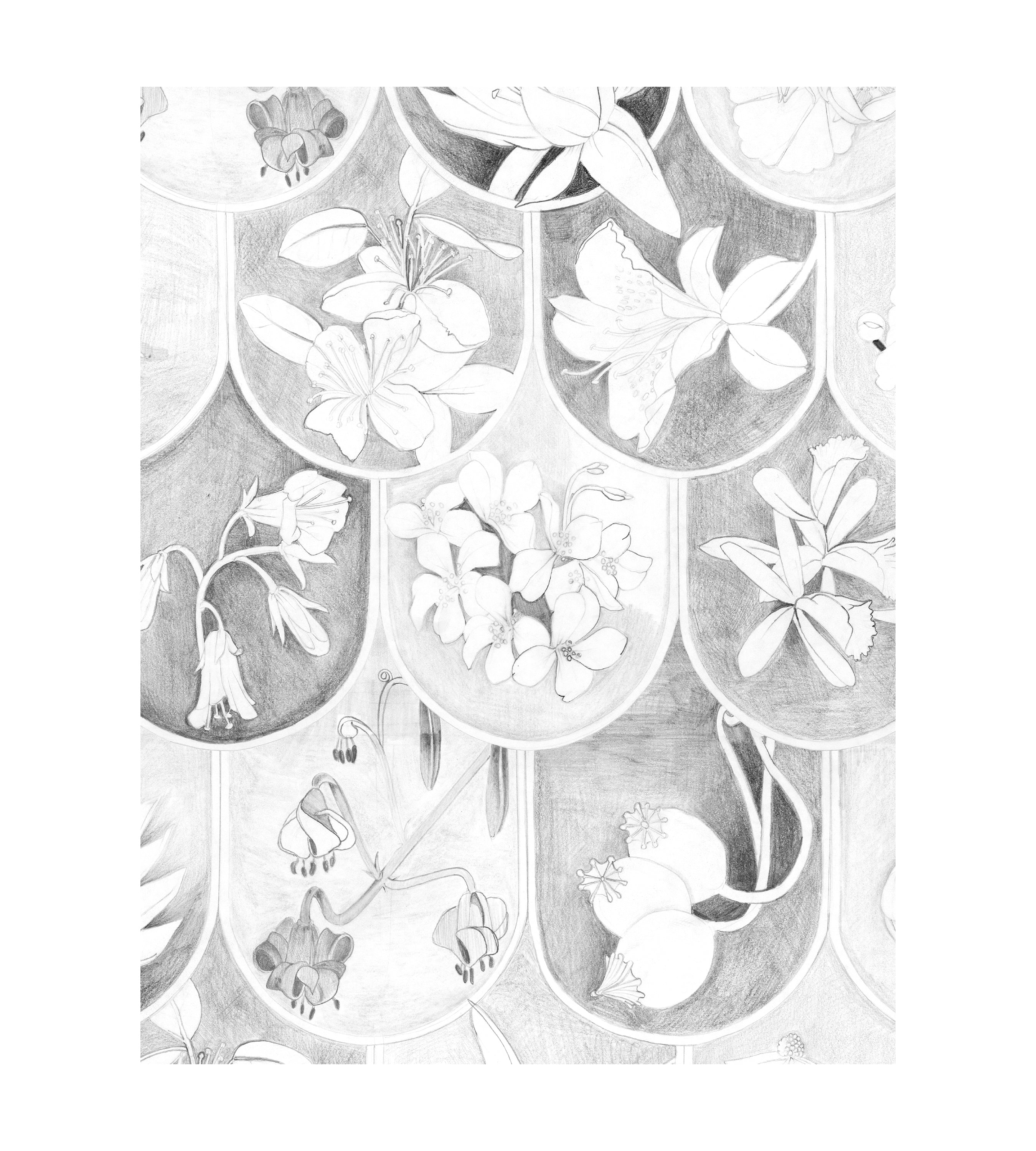 Floral Scales Sketch Wallpaper