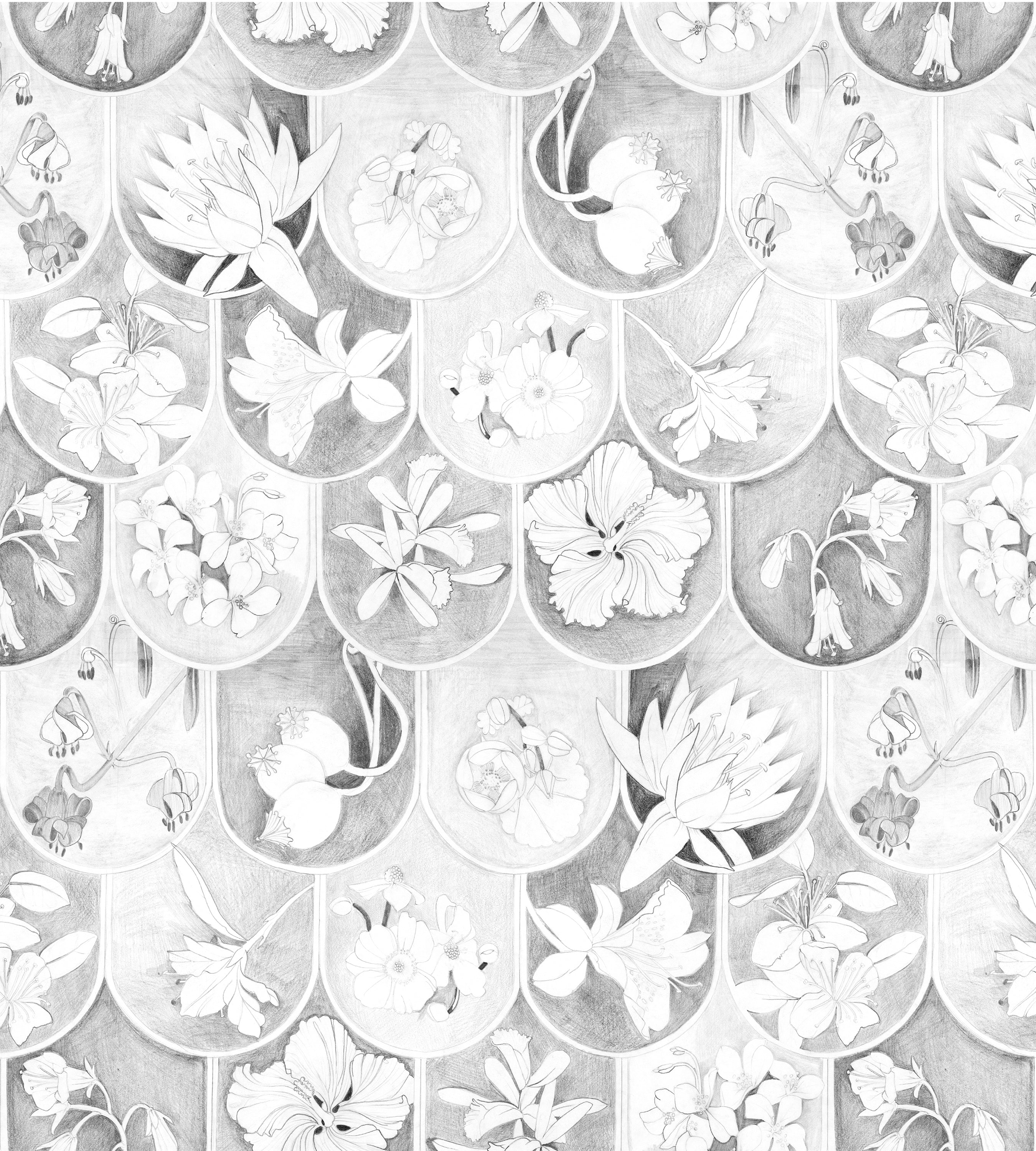 Floral Scales Sketch Wallpaper