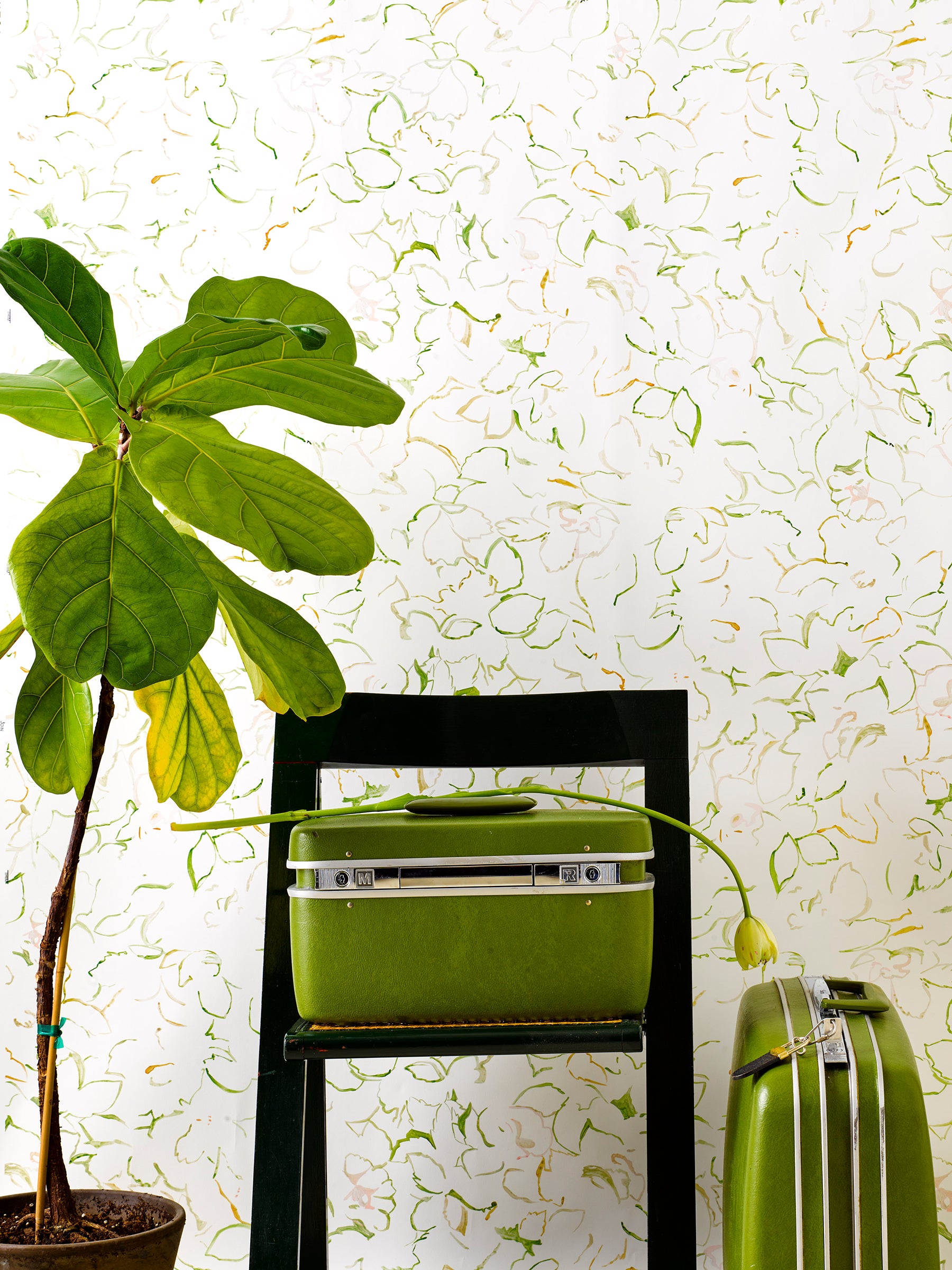 Harold Green Wallpaper