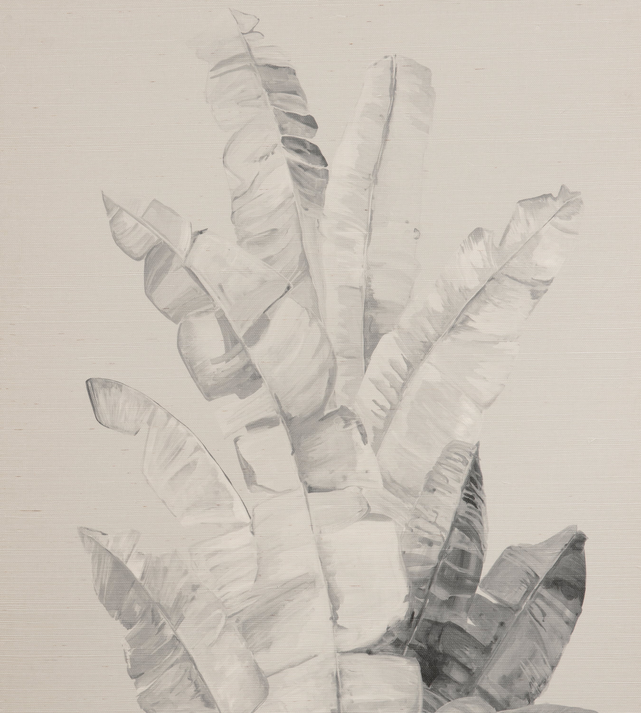 Tahitia Shadows Grasscloth Chinoiserie Wallpaper