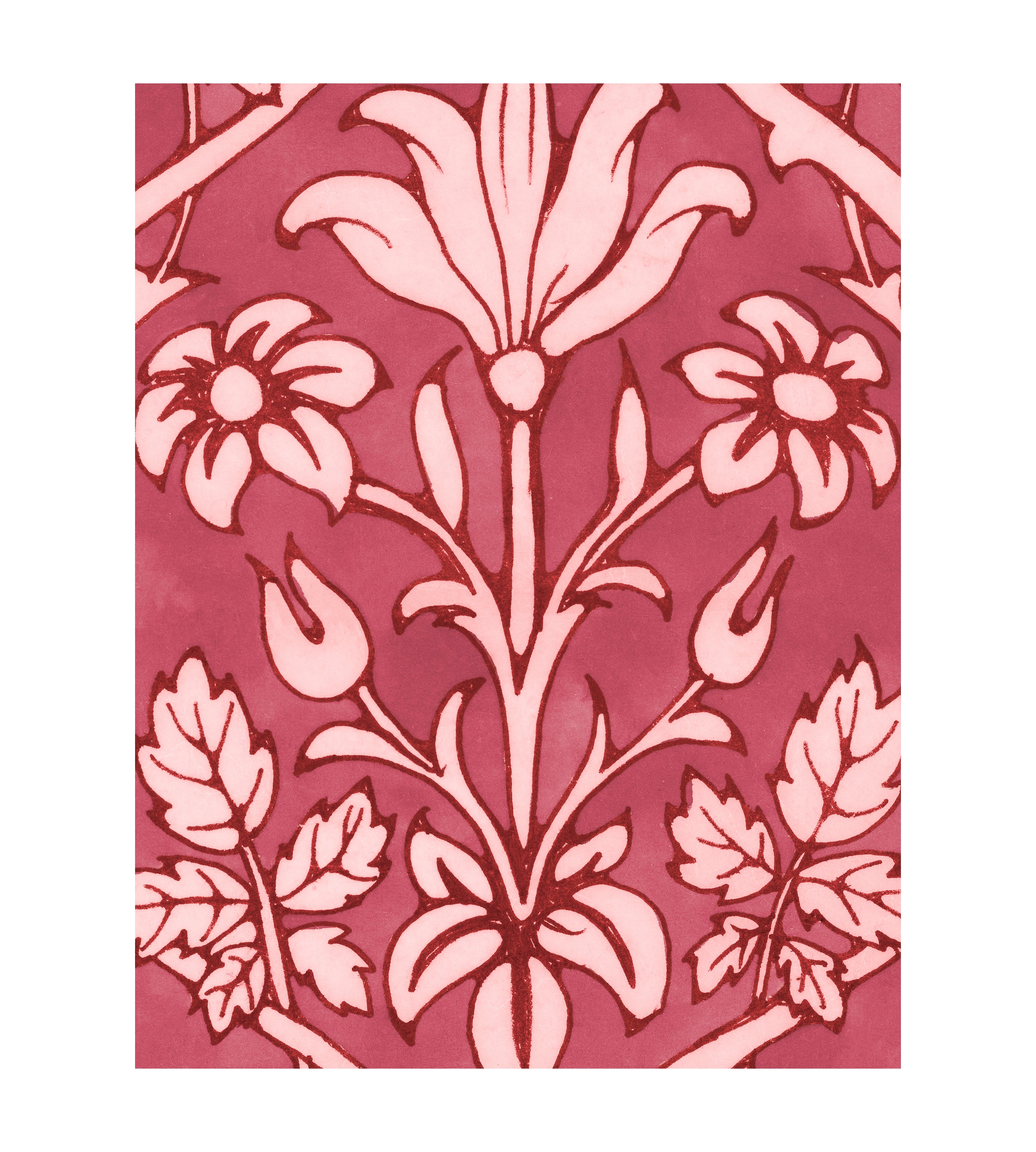 Trumpet Blooms Red and Pink Wallpaper