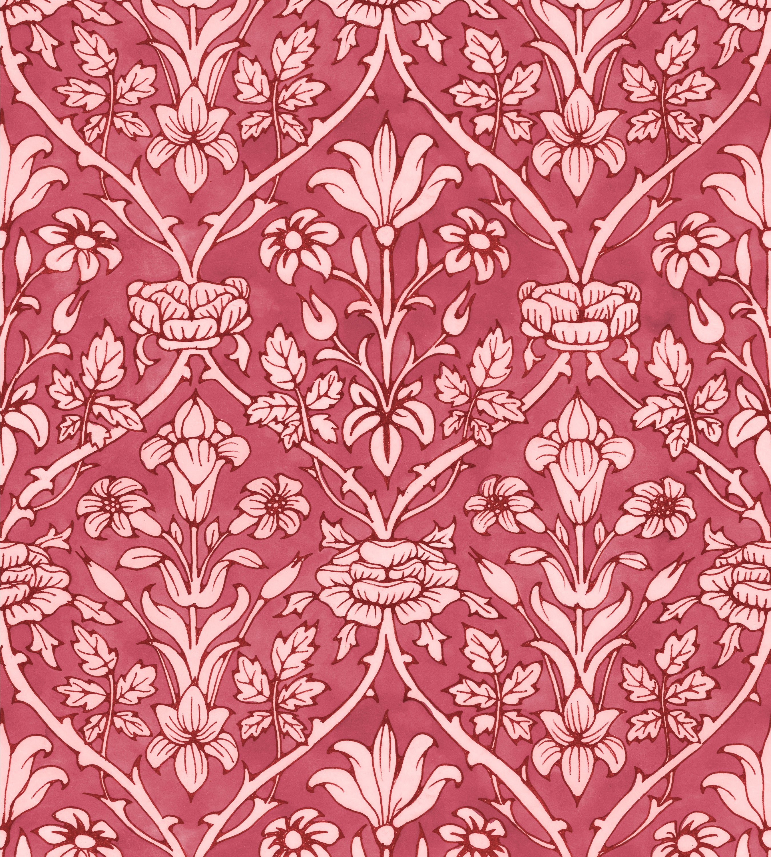 Trumpet Blooms Red and Pink Wallpaper
