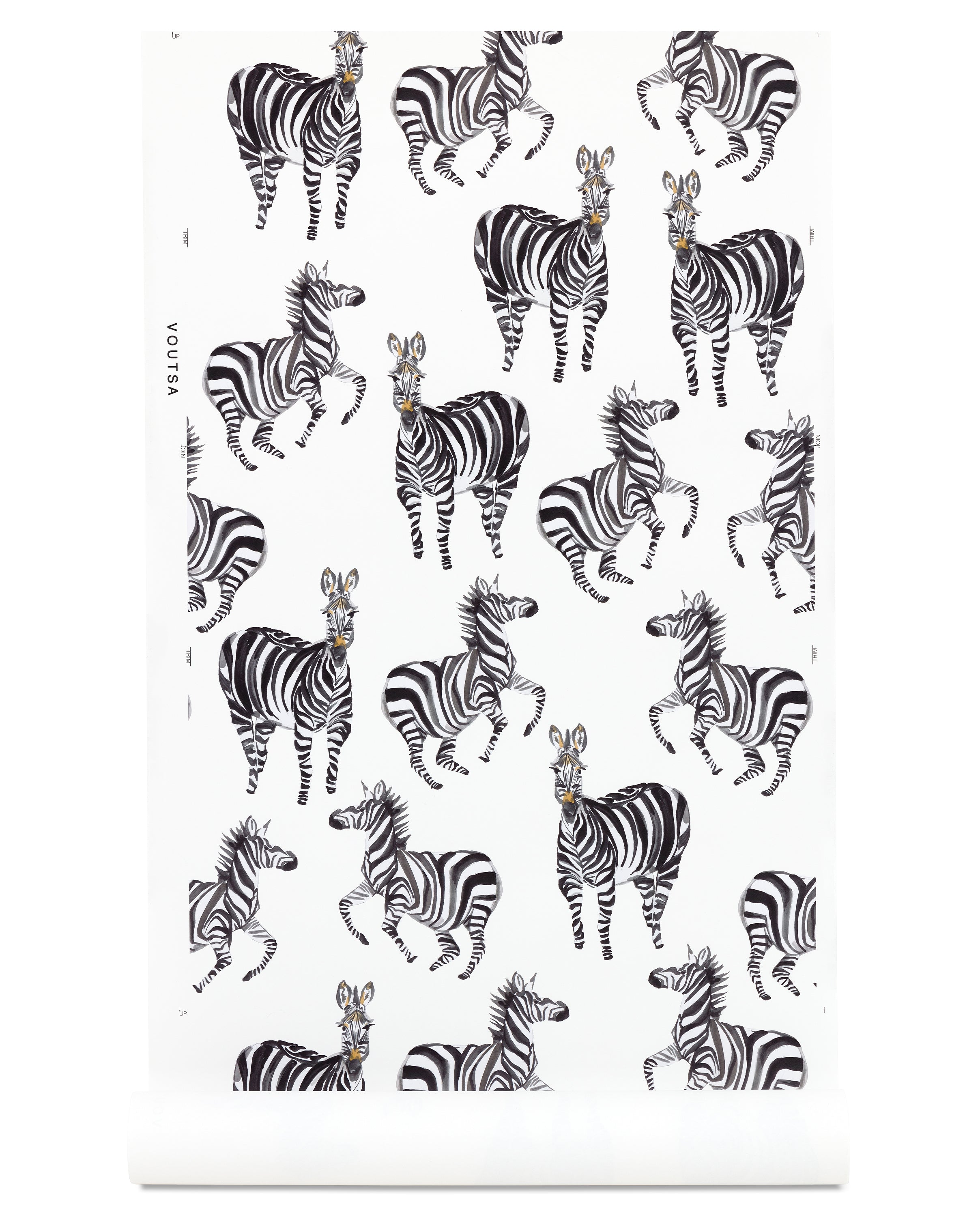 Zebras White Wallpaper