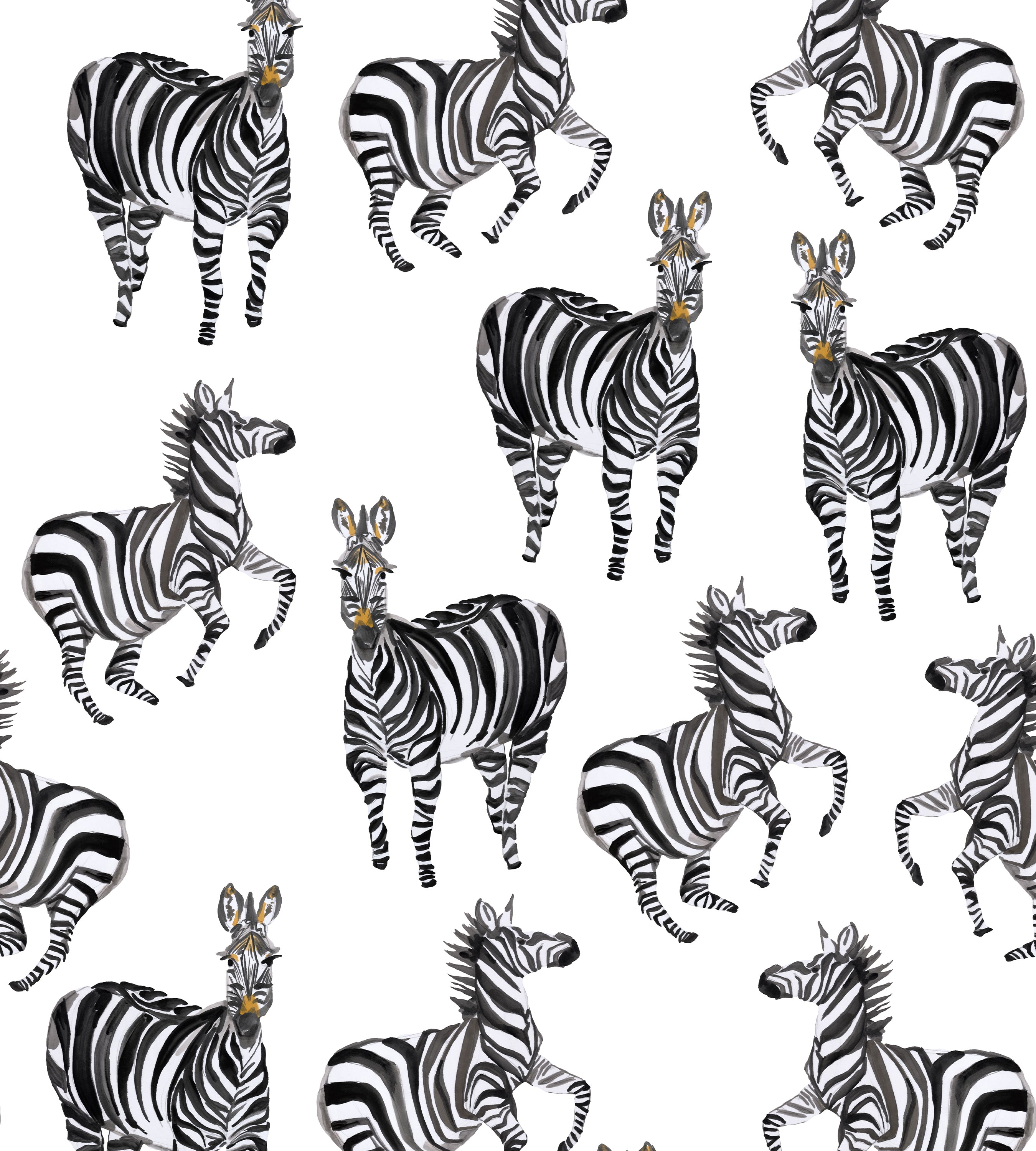 Zebras White Wallpaper