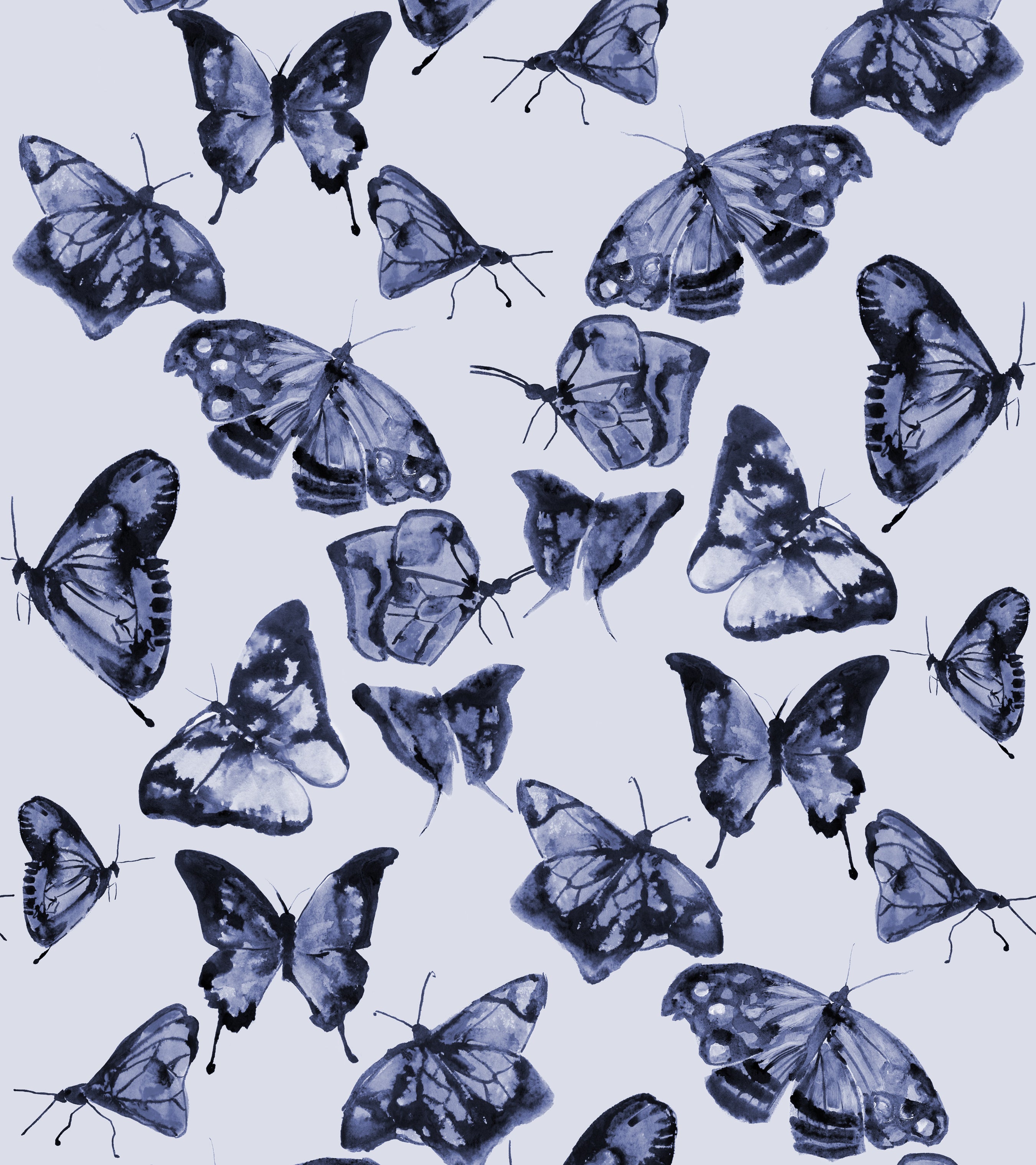 Butterflies in Rhapsody Blue Wallpaper