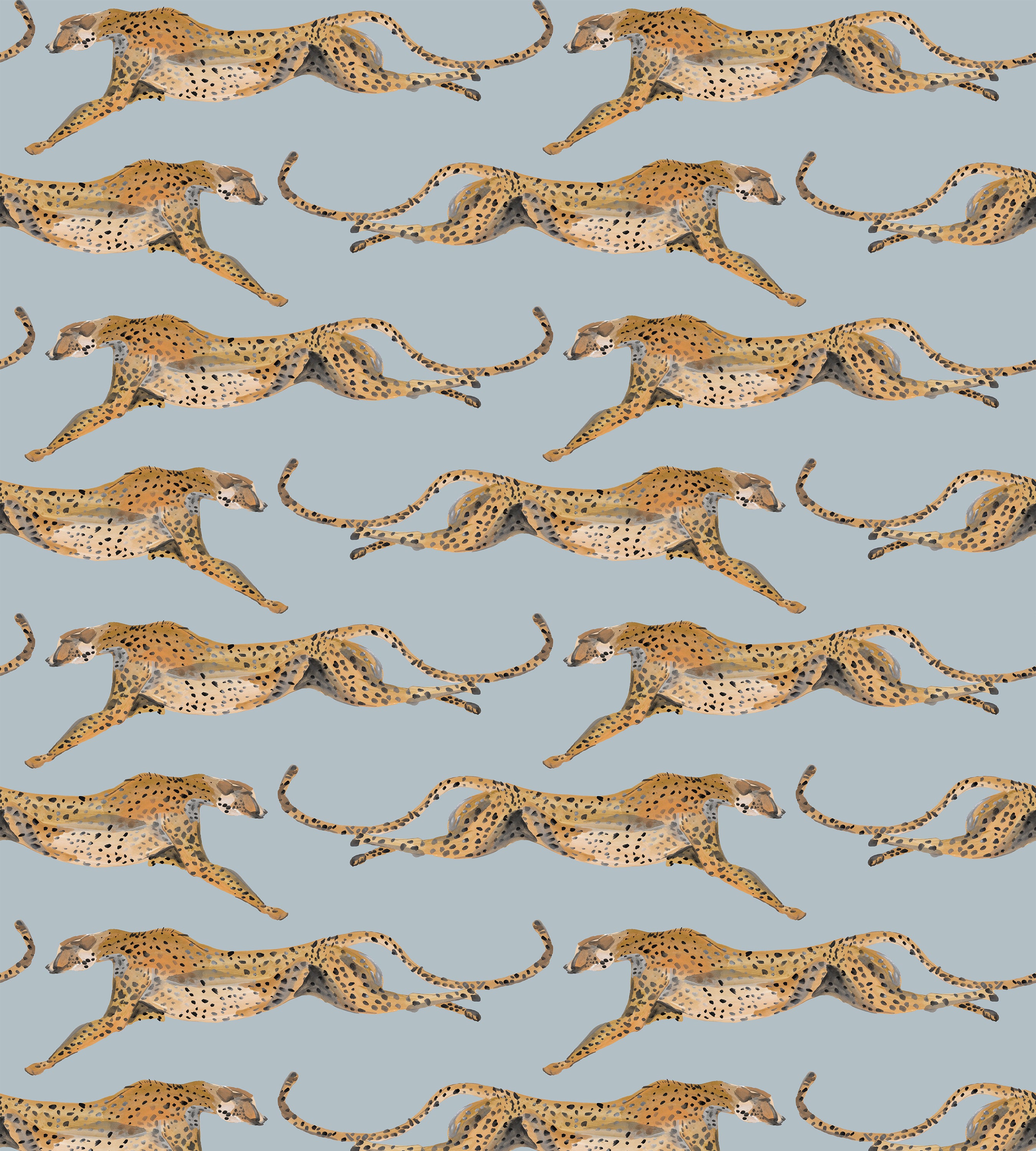 Cheetahs Leaping Parma Gray Wallpaper – Voutsa