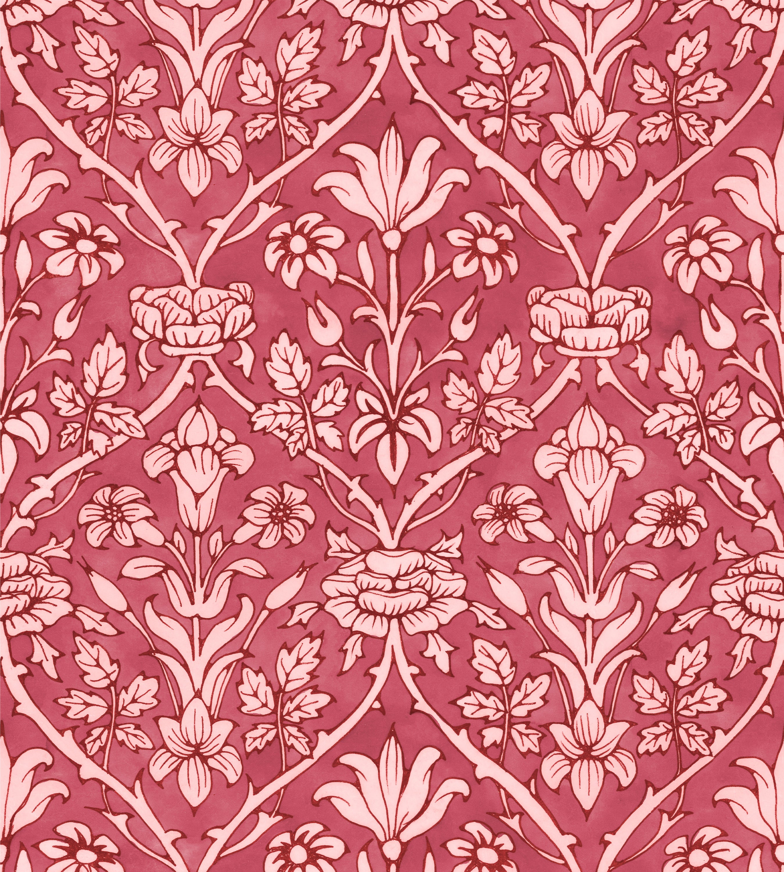 Trumpet Blooms Red and Pink Wallpaper – Voutsa