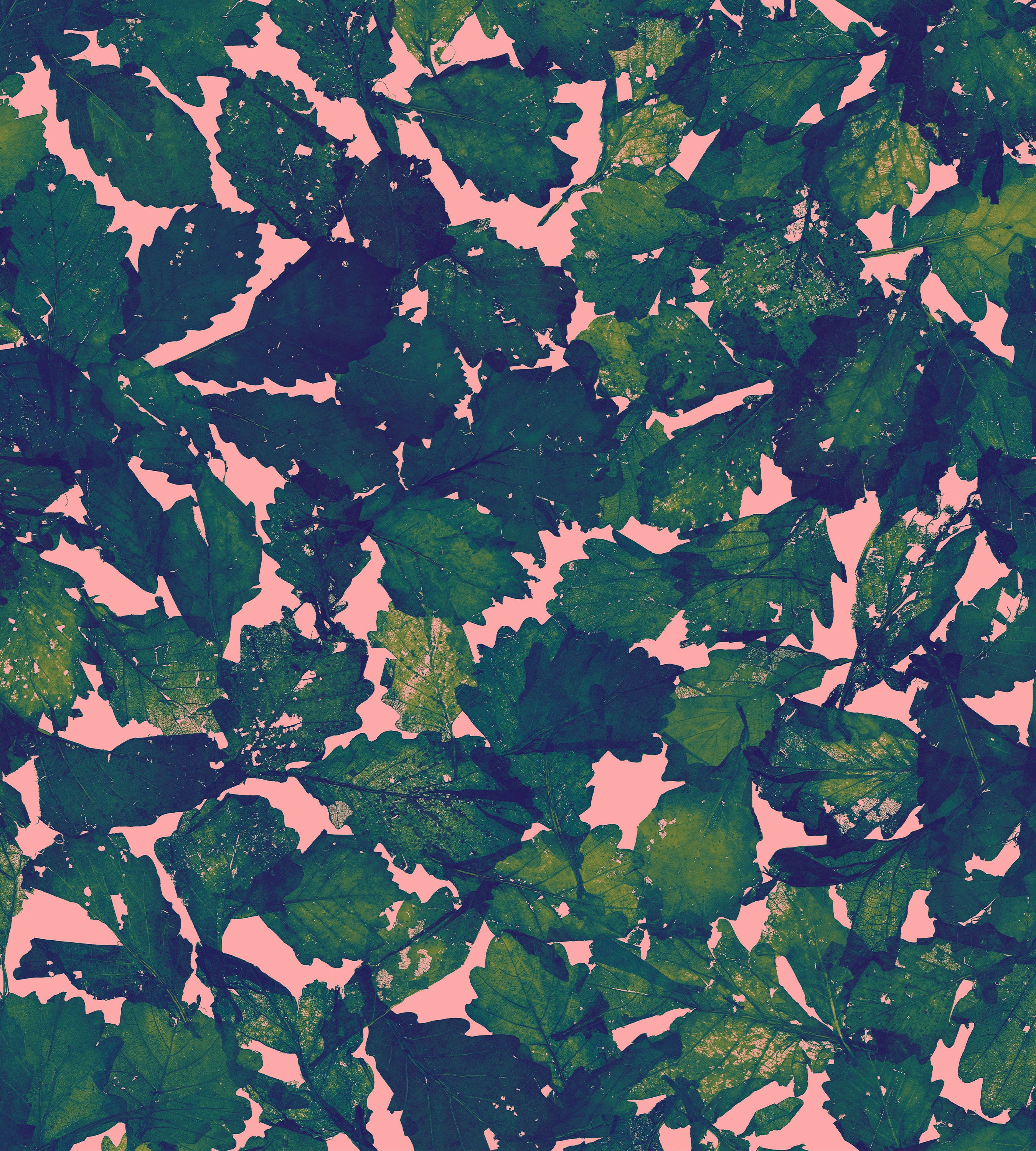 Turning Leaves Brunch Wallpaper