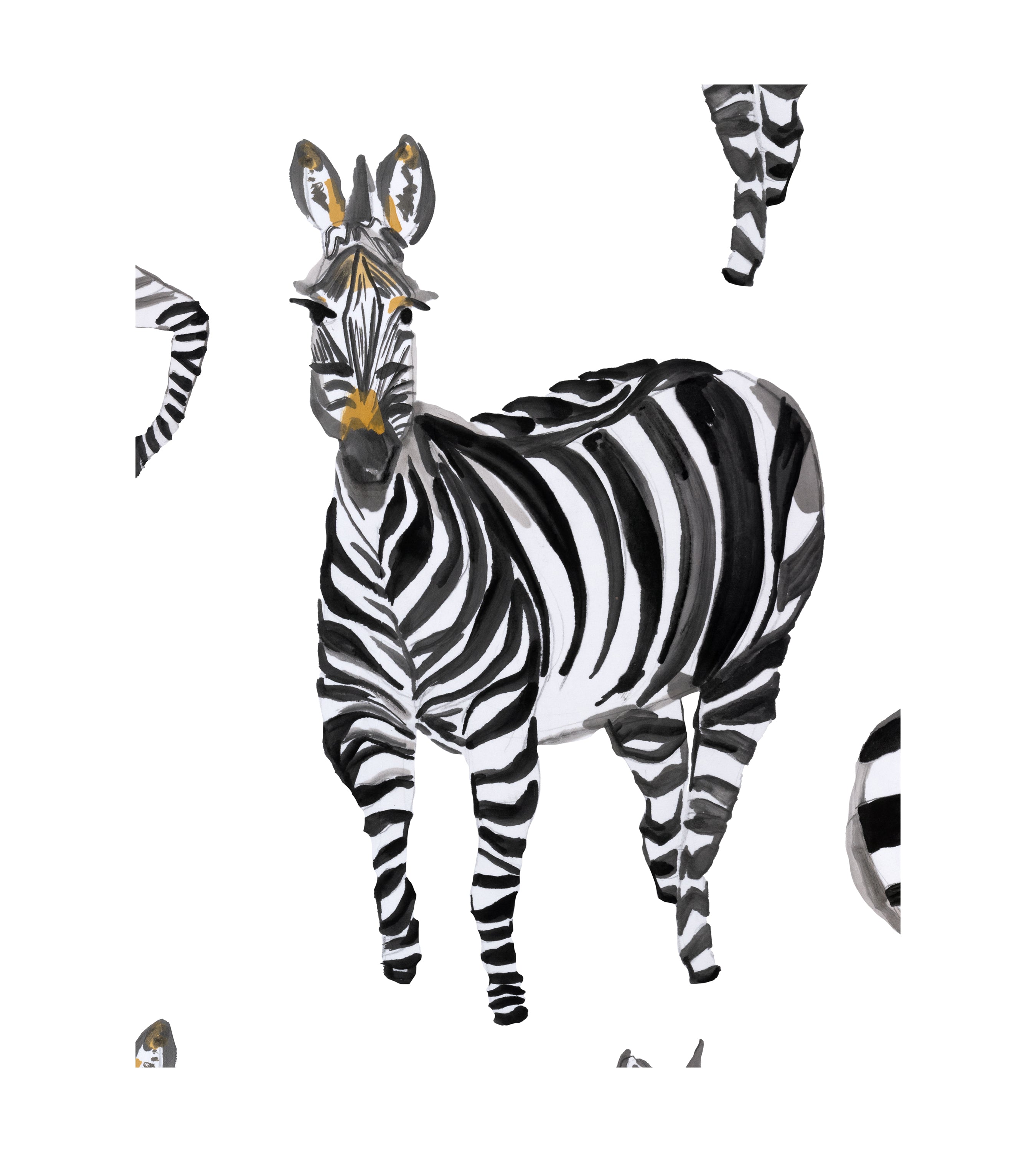 Zebras White Wallpaper